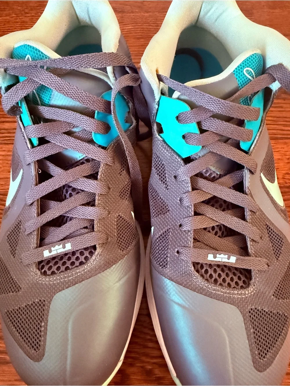 Nike LeBron 9 Low Easter Size 13 OG Box Extra Laces